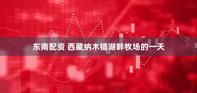 东南配资 西藏纳木错湖畔牧场的一天
