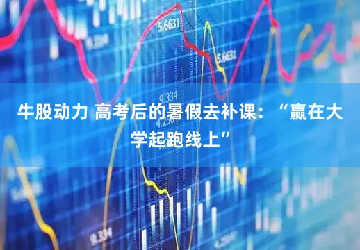 牛股动力 高考后的暑假去补课：“赢在大学起跑线上”